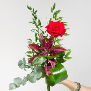 ROSA SINGOLA CONFEZIONATA (fiore singolo confezionato) (san Valentino)