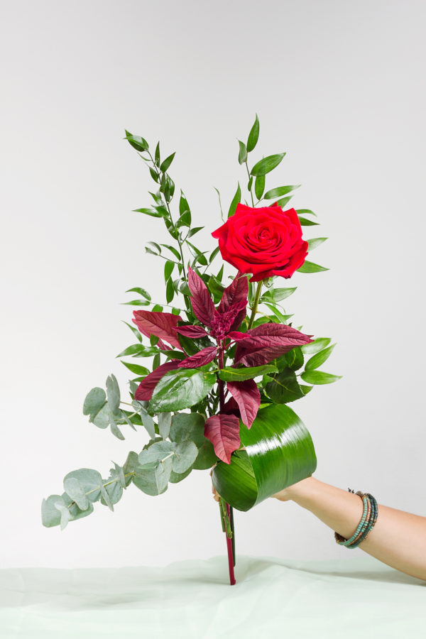 ROSA SINGOLA CONFEZIONATA (fiore singolo confezionato) (san Valentino)