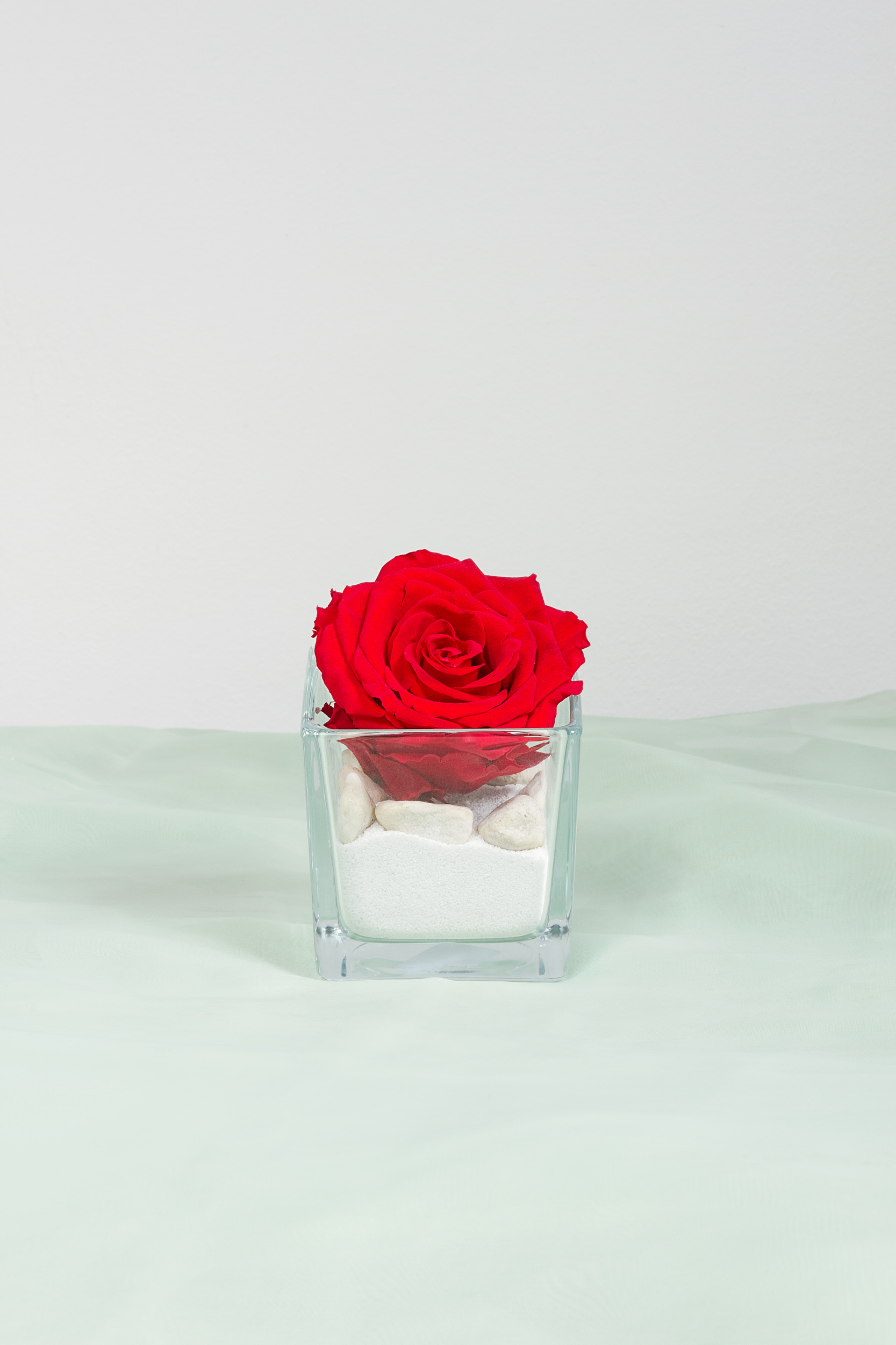 Rosa Rossa Stabilizzata in Vetro - Fiori la fontana